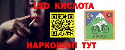 стафф Свободный